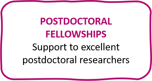 postdoctoral fellowships